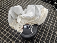 фото thumb №1, Подушка водителя сработавшая kia sprotage iv 56900-f1000