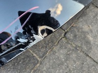 фото thumb №12, Kia ev9 капот