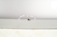 фото thumb №9, Крышка багажника стекло vw tiguan i 5n 07-11 la7w