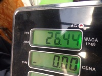 Saab 9-3 ii 2.0 turbo 175km z20nel головка двигателя с Разборки, фото thumb