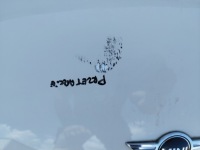 Капот лак 850/0 pepper white mini r56 r57 рестайлинг  2010-2013 1,6 бензин Недорого, фото thumb