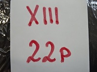 фото thumb №8, Renault kadjar права захист заглушка поріг 769363379r