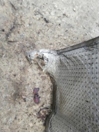 фото thumb №4, Захист теплова audi a6 c5 kombi 2,5 tdi