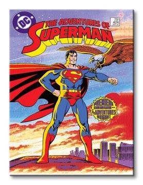 DC Comics Superman Orzeł Obraz na płótnie 30x40 cm