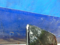 фото thumb №8, Капот lz9w audi a6 c6