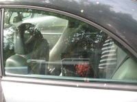 фото thumb №1, Citroen c3 pluriel 2003 r -стекло левая задняя