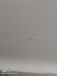 фото thumb №12, Peugeot 308 ii t9 hb двері ліві lub праві зад kwed