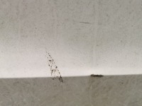 фото thumb №7, Двері правий задня vw passat b7 sedan lb9a