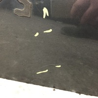 фото thumb №6, Крышка багажника ktp peugeot 3008 09-16 #123