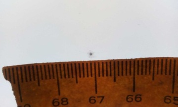 фото thumb №9, Скло лобове передня audi a5 cabrio 2009-2016 датчик зелена