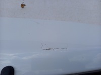 фото thumb №5, Кришка багажника задня mitsubishi colt vi 6 lift 5 двері