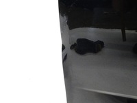 фото thumb №3, Двері лівий передня ліві передні скло ручка skoda octavia iii 5e lf9r