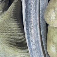 фото thumb №10, Dodge charger 2017 прокладка кришки двигуна / капот передньої