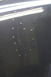 Mercedes w212 капот крышка двигателя 197 m675 Доставка, фото thumb