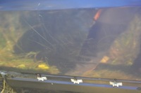 фото thumb №7, Двері задні ліва задня лівий mercedes-benz 190 kombi