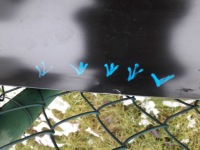 фото thumb №8, Кришка багажника задня renault clio v 19- hb оригінал