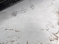 фото thumb №13, Bmw 6gt g32 lci lift бампер перед kompletny m-pakiet решётки pdc электропроводка