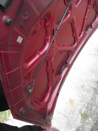 фото thumb №11, Капот кришка кришка багажника kia ceed i lift 09r a0 ao