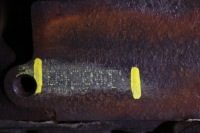 Двигатель стойку ford kuga 2009r 2.0 tdci 4x4 d4204t g6da ukda Цена, фото thumb