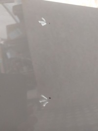 фото thumb №7, Bmw оригинальный номер 8056223 f82 f83 m4 бампер задняя задний m power 4 pdc nardo gray p6k