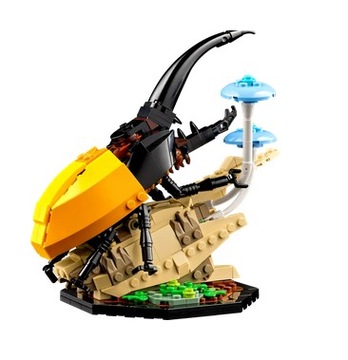 LEGO 21342 IDEAS — КОЛЛЕКЦИЯ НАСЕКОМЫХ