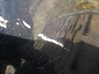 фото thumb №3, Дверь правый задняя mazda2 mazda 2 iv da6c72010