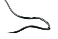 фото thumb №10, Bmw e83 x3 датчик лямбда-зонд l=700mm 3413464