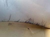 фото thumb №8, Бампер перед fiat seicento