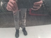 фото thumb №12, Audi a6 c6 капот lz9y