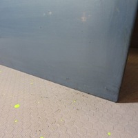 фото thumb №7, Opel meriva a двері перед праве z169