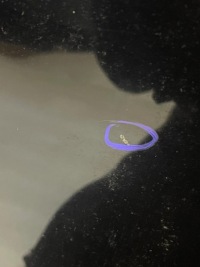 фото thumb №5, Капот кришка двигуна renault koleos i 1 org fv