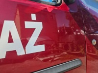 фото thumb №9, Fiat doblo дверь правый перед правое передние 124