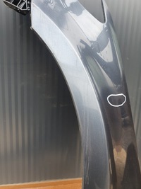 фото thumb №10, Крила лівий перед vw passat cc 3c8 przed lift