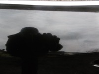 фото thumb №8, Infiniti дверь m m30 m35 m37 дверь левый задняя задние