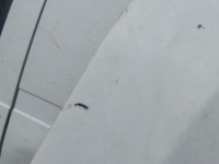 Капот bmw e90 Оригінал, фото thumb