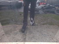 фото thumb №10, Бампер kompletny перед bmw e90 e91 lift