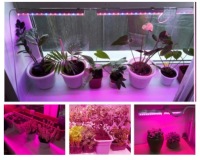 Светодиодная лента 5050 300D GROW для роста растений IP65 0,5м