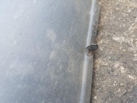 фото thumb №5, Молдинг поріг права citroen c4 cactus 9801521780