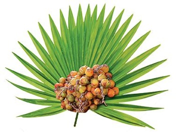 SWANSON SAW PALMETTO SAW PALMETTO 250 капсул простаты