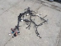 фото thumb №1, Джгут електропроводка 240119399s renault clio