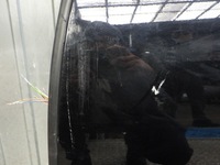 фото thumb №5, Двері лівий задня citroen ds7