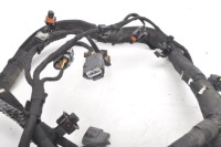 фото thumb №12, Mclaren 650s 3.8 жгут камеры двигателя 11m2171cp.02 p110003 11m0410cp.04