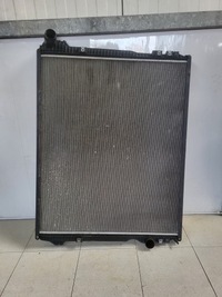 фото thumb №1, Радиатор wody жидкость scania r s 2439722