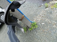 фото thumb №3, Audi a8 d4 4h0 09- крило зад задній права сторона