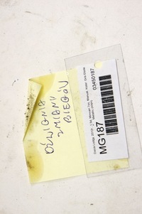 фото thumb №6, Mg187 dacia lodgy 1.5d домкрат выборщик передач