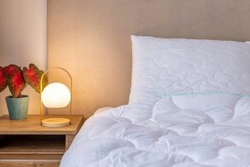 АНТИАЛЛЕРГИЧНОЕ ОДЕЯЛО АЛОЭ 160x200 PolishProduct