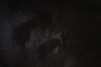 фото thumb №8, Дверь правое перед передние коричневые nissan navara 3 iii d40 05-14