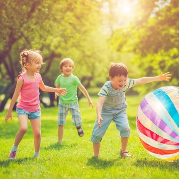 Immunity Lollipop Экстракт бузины, черноплодной рябины, вит. C, D, Детский распорядок