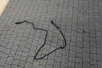 фото thumb №1, Шланг adblue audi q7 3,0tdi 09r