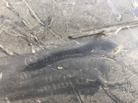 фото thumb №8, Бампер задняя задний mercedes a klasa a176 w176